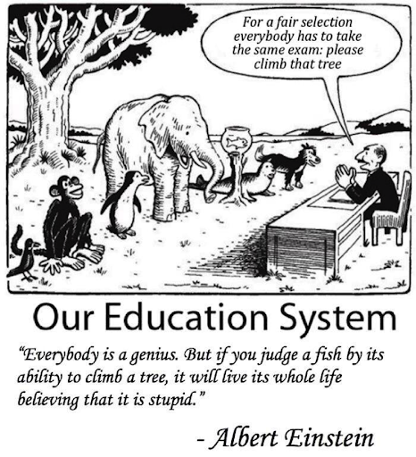 Our education system. Various animals of both land, air, and sea are lined up in front of a tree. A man says "for a fair selection everybody has to take the same exam: please climb that tree." Caption: Everybody is a genius. but if you judge a fish by its ability to climb a tree, it will live its whole life believing that it is stupid." - Albert Einstein. 